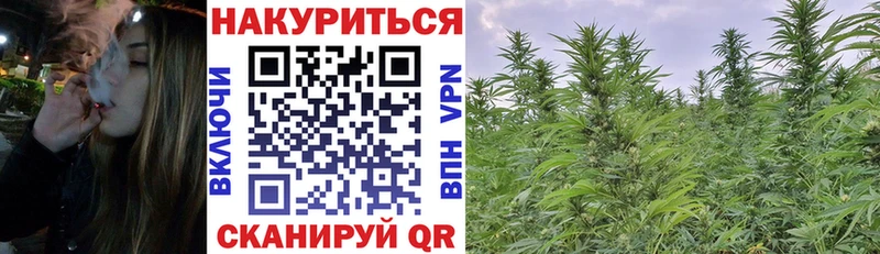 Наркота Магас КОКАИН  Мефедрон  СК  Псилоцибиновые грибы  ГАШ  АМФЕТАМИН 