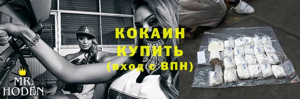 молекула духа Белокуриха