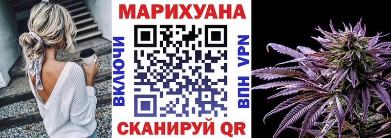 Бошки марихуана планчик  Магас 